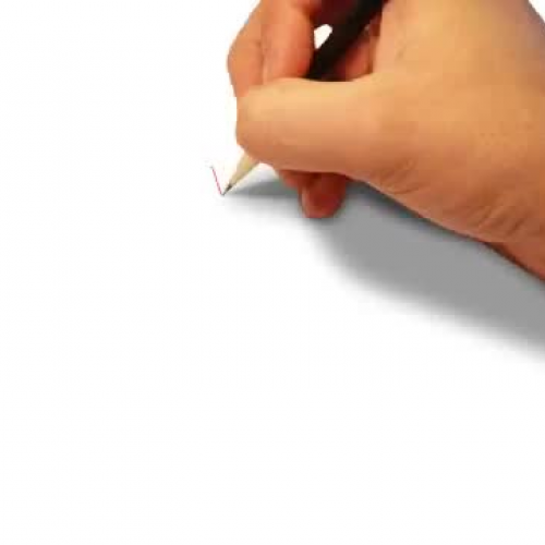 Sydney Coach Charters and Bus Rentals