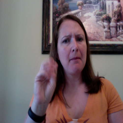 introductiontoindependentreadingprogram