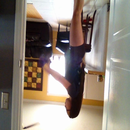 2.04 fitness assessment