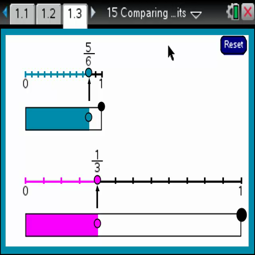 activity 15