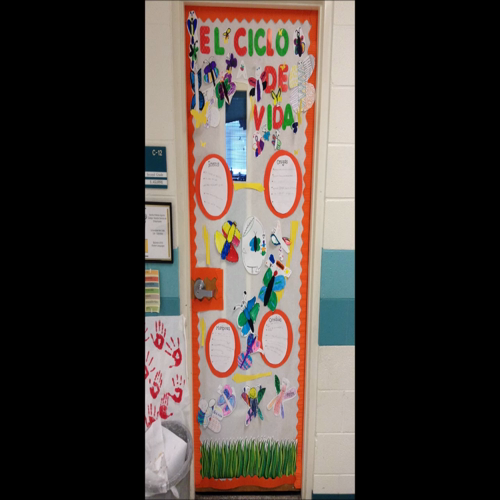 Spanish Immersion Second Grade lesson