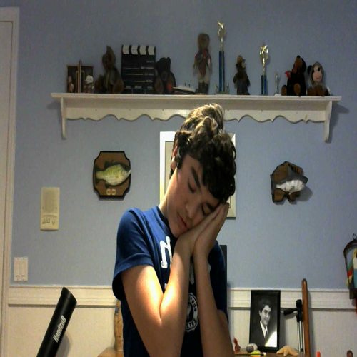 3.02 Family Visual Presentation