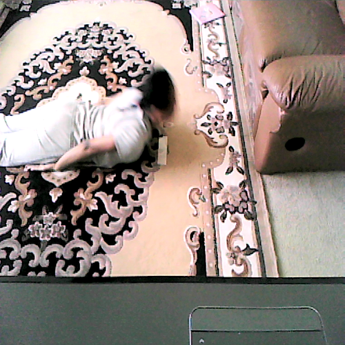 1.03 Fitness Video Assesment