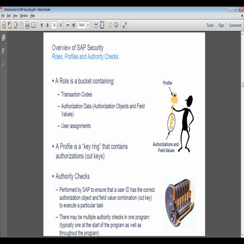 sap security online training |  online sap security training in usa,uk,canada,au