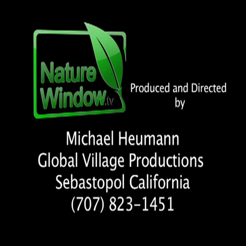 Pirates & Lost Treasure