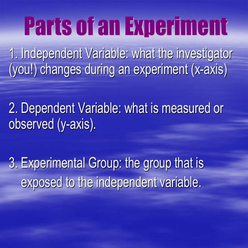 Scientific Processes