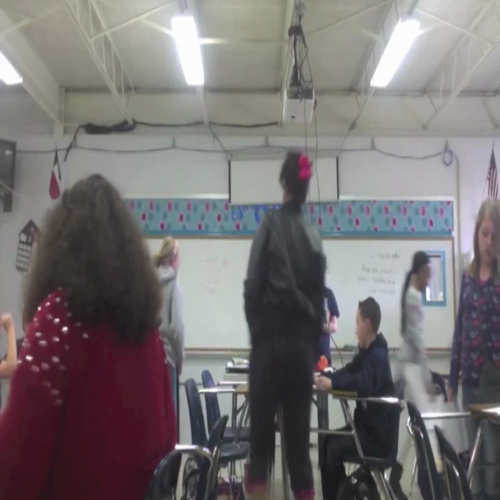 mdouglas-lesson on culture