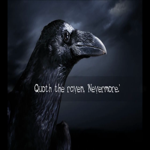 The Raven   