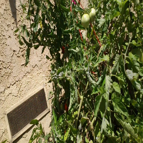 Recycling Plastics Part 2