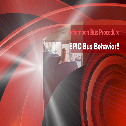 afternoon bus procedure