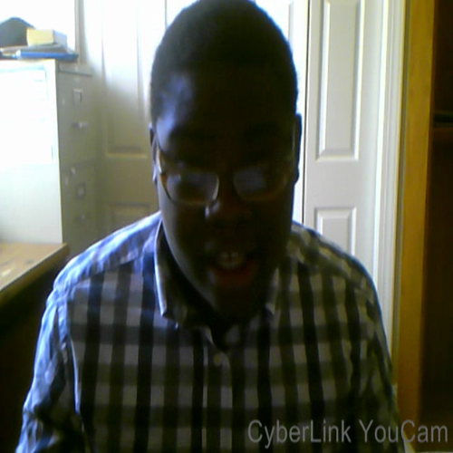 Describe the Family Visual Presentation