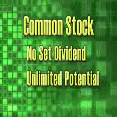 preferred stocks vs. common stocks - the skinny on stocks