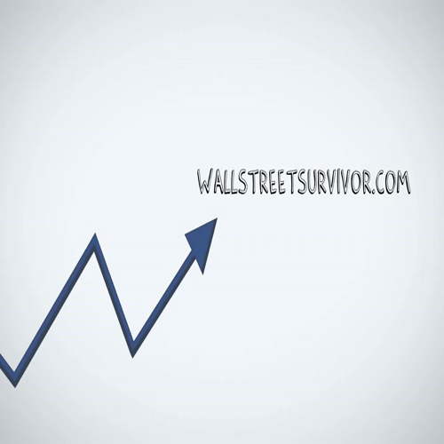 what are stocks - by wall street survivor (1)