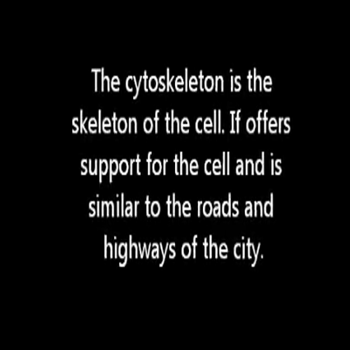 cell analogy as a city video