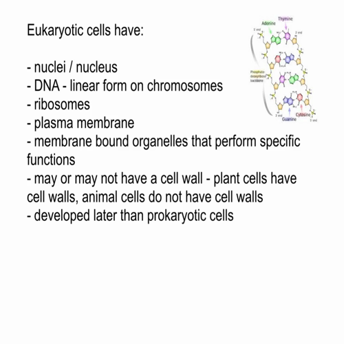 video 1.2 prokaryotic and eukaryotic cells