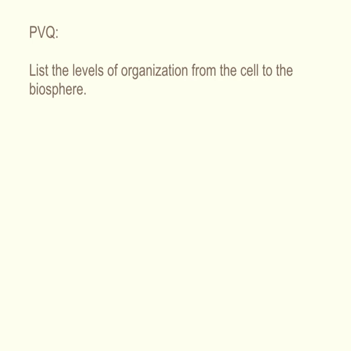 1.4 levels of organization
