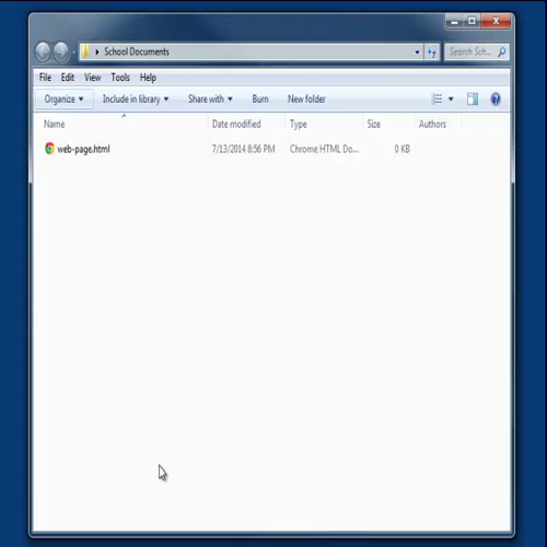 Windows 7 - How to Display File Extensions