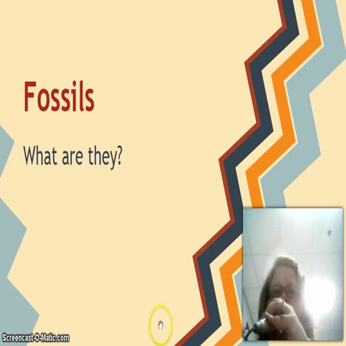 fossilvocab