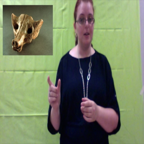 content area 1? global prehistoric part 2b 