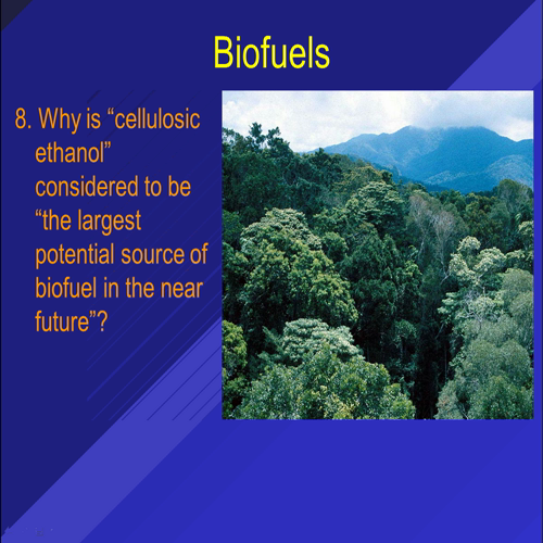 biofuels presentation