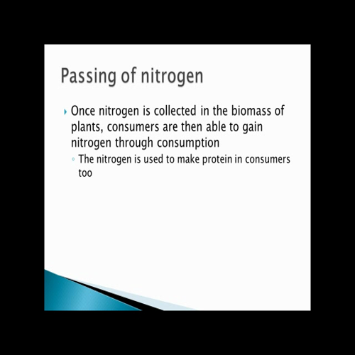 7 nitrogen cycle