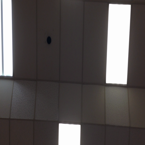 Autumn Afternoon: 9-10-14