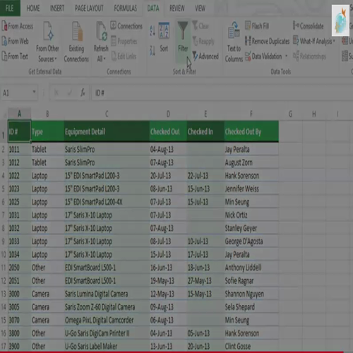 09 excel filtering data