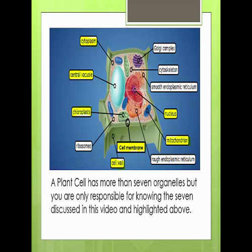 Introduction to Plant Cells