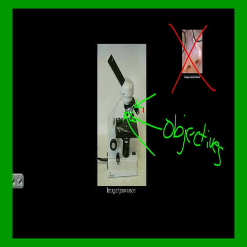 Biology at West - Scientific Process 2A - Microscopes and their Parts