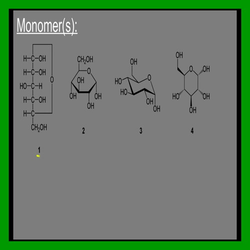 Biology at West - Biochemistry 3G - Macromolecules: Carbohydrates (Sugars)