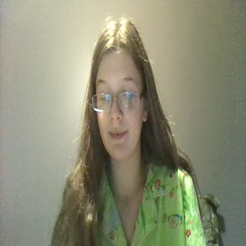 cheyenne salyers unit 1 lesson 10 english