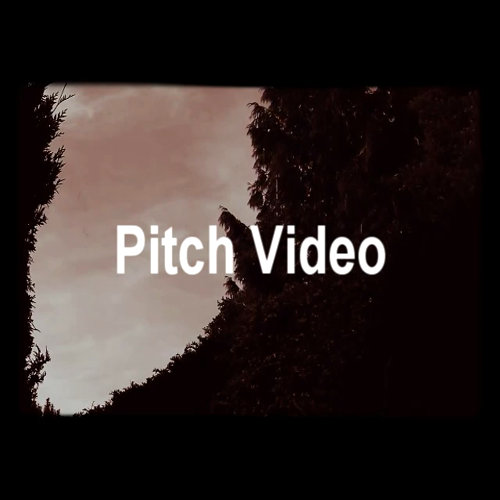 pitch video 3