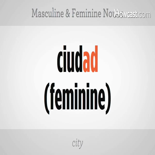 how to use masculine & feminine nouns - spanish lessons