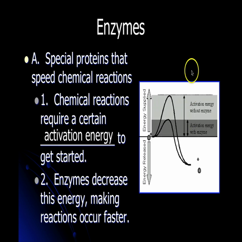 proteinsandnucleicacids