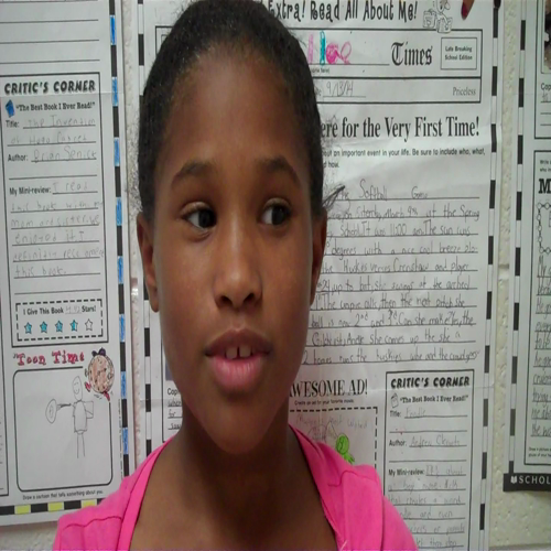 steiner's videos 026