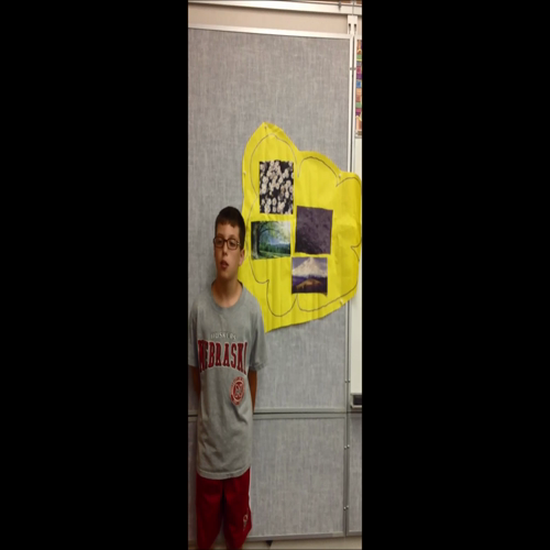 Words with Wings booktalk