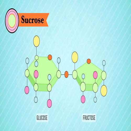 biological molecules - you are what you eat_ crash course biology #3