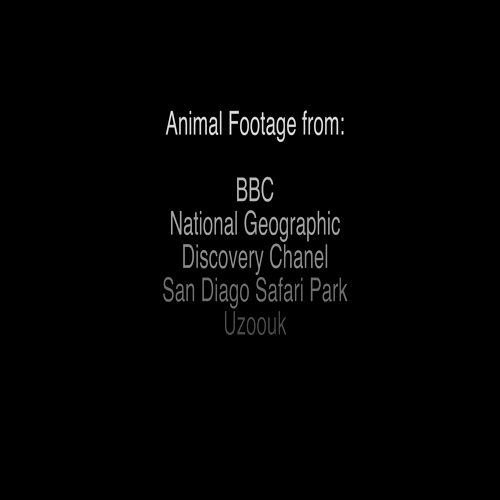 The Evolution Song (Stronger) Kanye West Remix