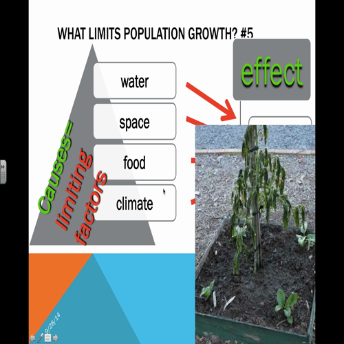 1.2populations