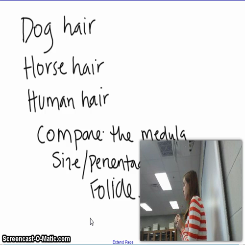 halr lab video continued for measurement