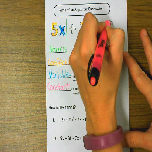 parts of an algebraic expression