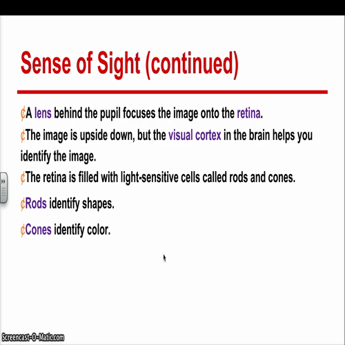 introduction to little bits