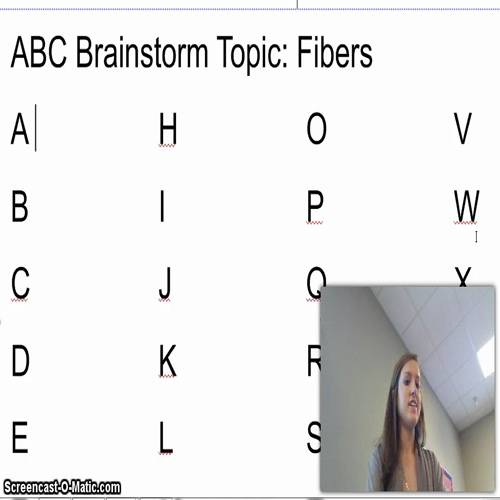 mini teaching presentation-fibers