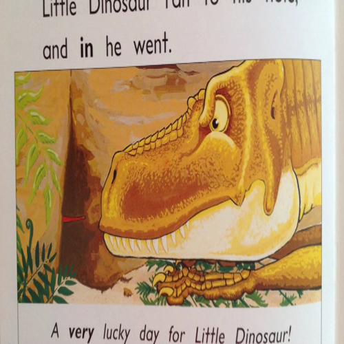 a lucky day for little dinosaur (8)