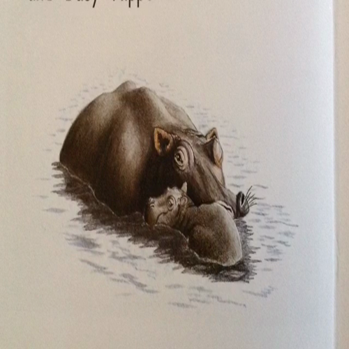 baby hippo (6)