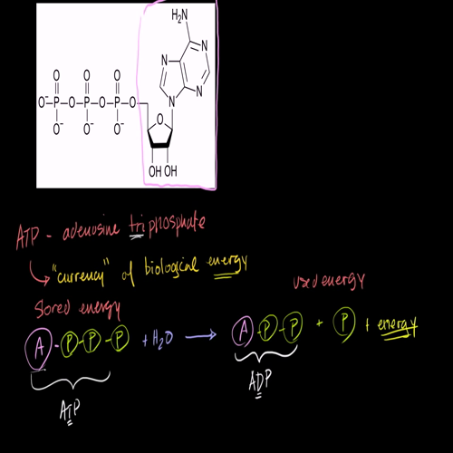 atp adenosine triphosphate
