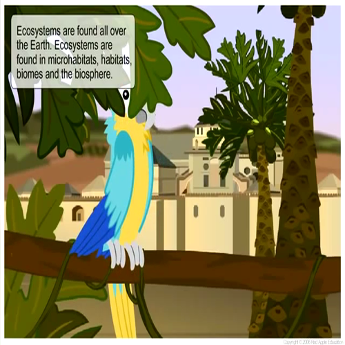 Skwirk Animated Ebook - Ecosystems 