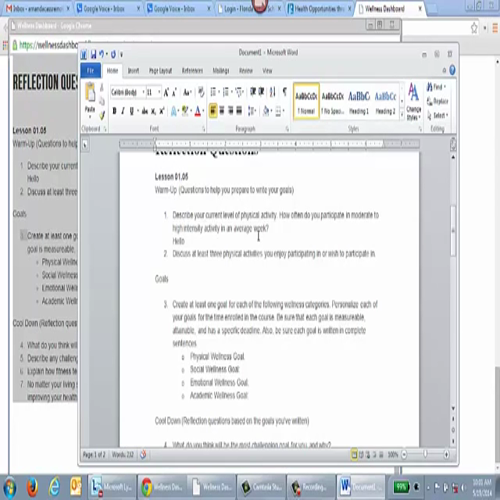 1.05 personal wellness plan