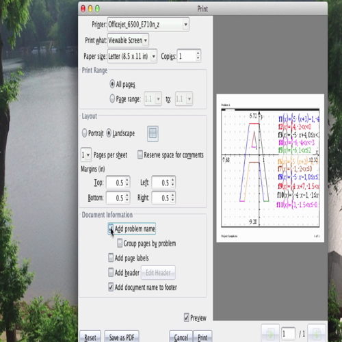 Printing YourPproject