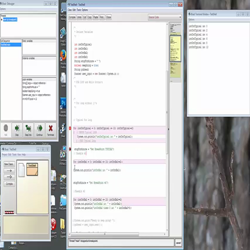 java for and while loop gotcha's